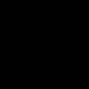 Meet your Posher, Brooklyn